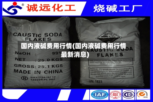 国内液碱费用行情(国内液碱费用行情最新消息)-第2张图片