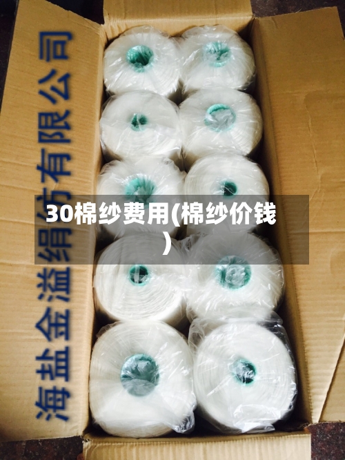 30棉纱费用(棉纱价钱)-第3张图片