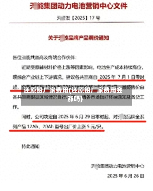 还原铅厂家费用(还原铅厂家费用会涨吗)