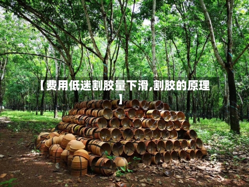 【费用低迷割胶量下滑,割胶的原理】-第2张图片