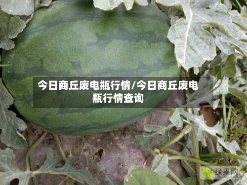 今日商丘废电瓶行情/今日商丘废电瓶行情查询-第2张图片