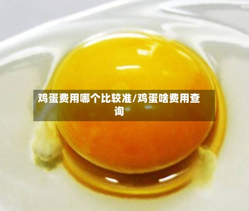 鸡蛋费用哪个比较准/鸡蛋啥费用查询