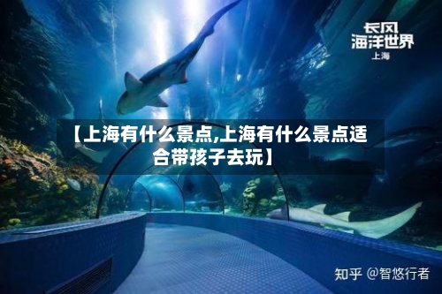【上海有什么景点,上海有什么景点适合带孩子去玩】-第2张图片
