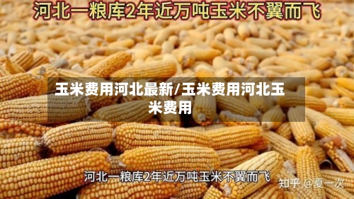 玉米费用河北最新/玉米费用河北玉米费用