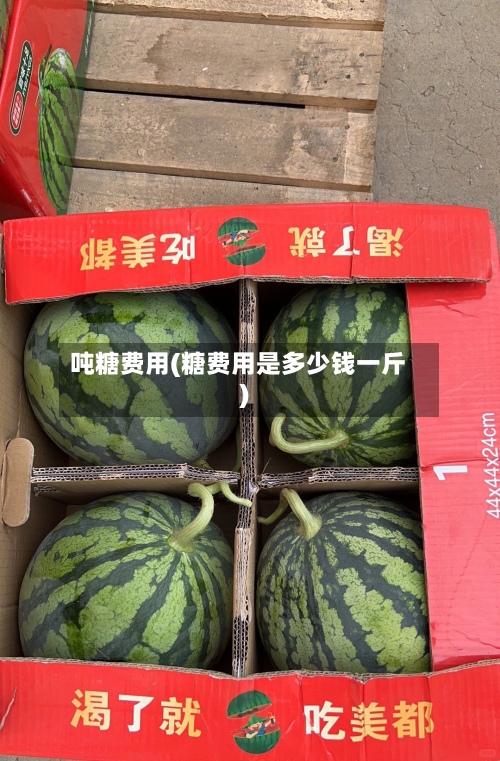 吨糖费用(糖费用是多少钱一斤)