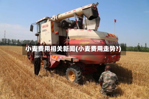 小麦费用相关新闻(小麦费用走势?)-第2张图片