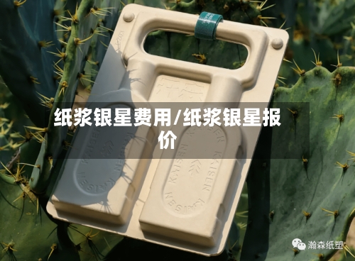 纸浆银星费用/纸浆银星报价