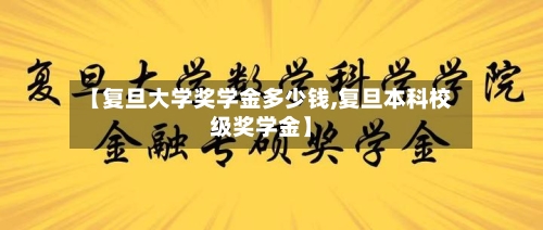【复旦大学奖学金多少钱,复旦本科校级奖学金】