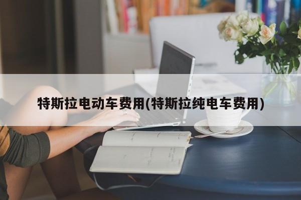 特斯拉电动车费用(特斯拉纯电车费用)