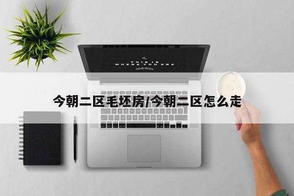 今朝二区毛坯房/今朝二区怎么走