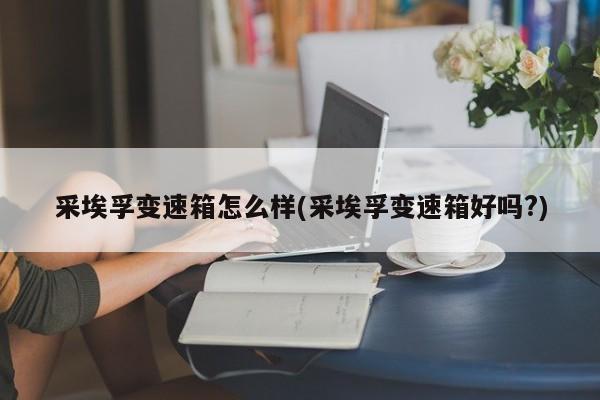 采埃孚变速箱怎么样(采埃孚变速箱好吗?)