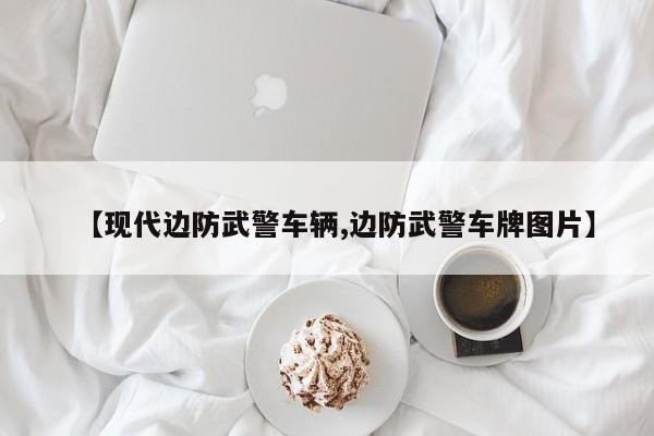 【现代边防武警车辆,边防武警车牌图片】
