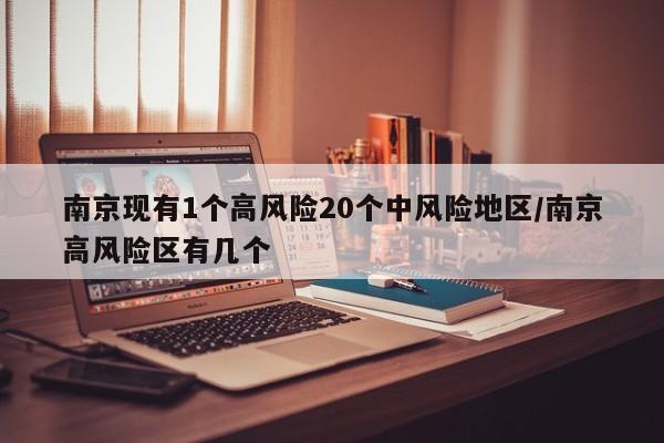 南京现有1个高风险20个中风险地区/南京高风险区有几个
