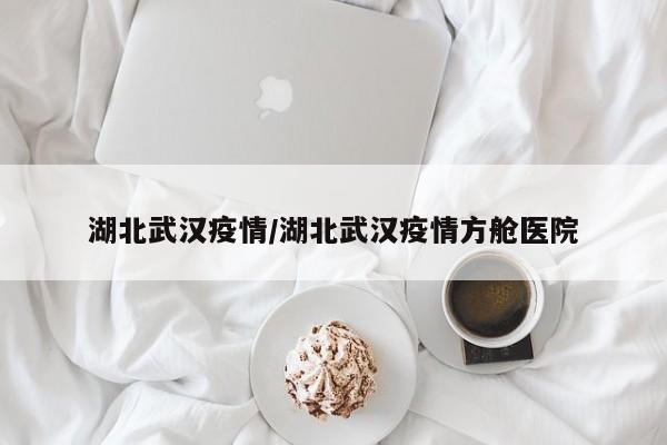 湖北武汉疫情/湖北武汉疫情方舱医院