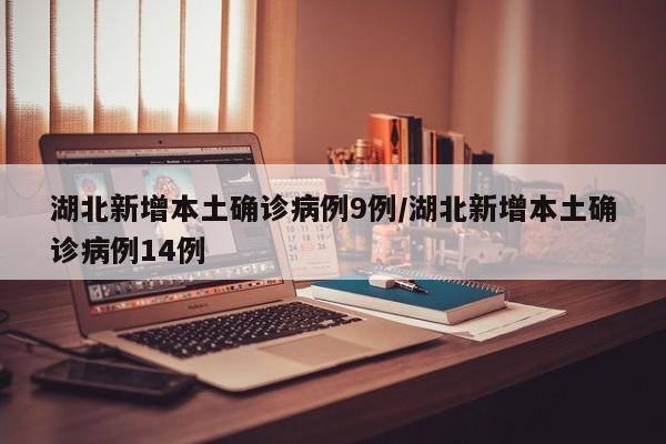 湖北新增本土确诊病例9例/湖北新增本土确诊病例14例